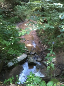 A little creek!